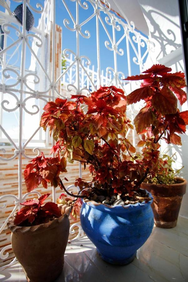 Dar Sidi Mfedal Apartment Chefchaouen Luaran gambar